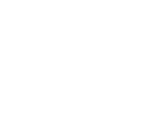 Phoenix Wear